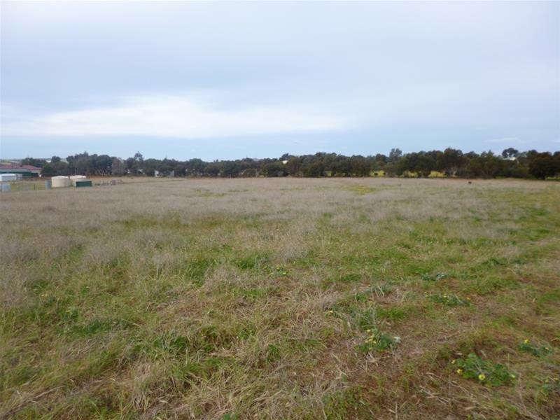 Lot 48 Needles Road, Caloote SA 5254