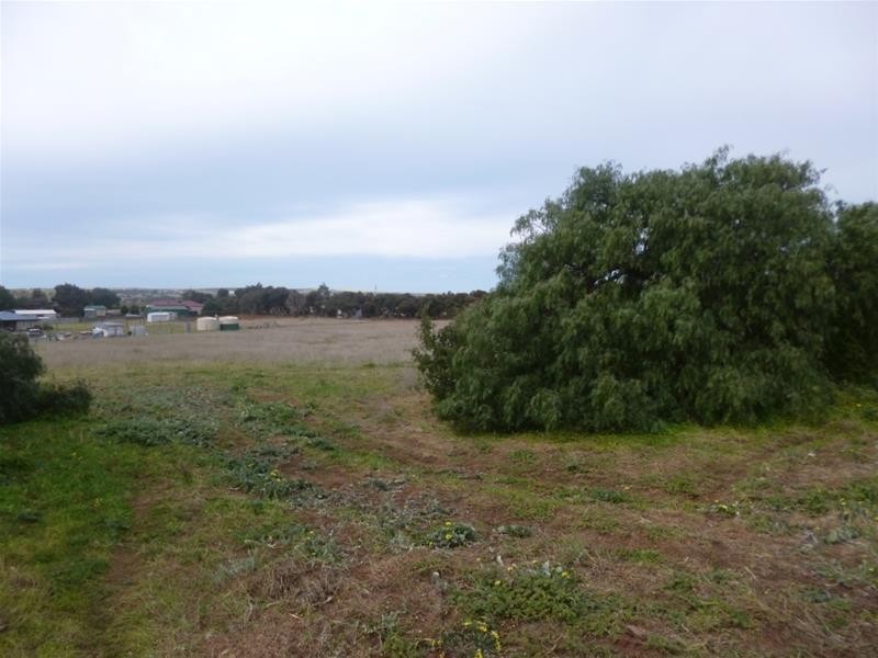 Lot 48 Needles Road, Caloote SA 5254