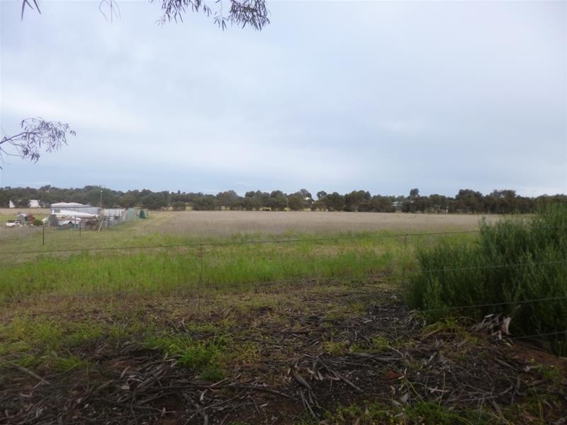 Lot 48 Needles Road, Caloote SA 5254