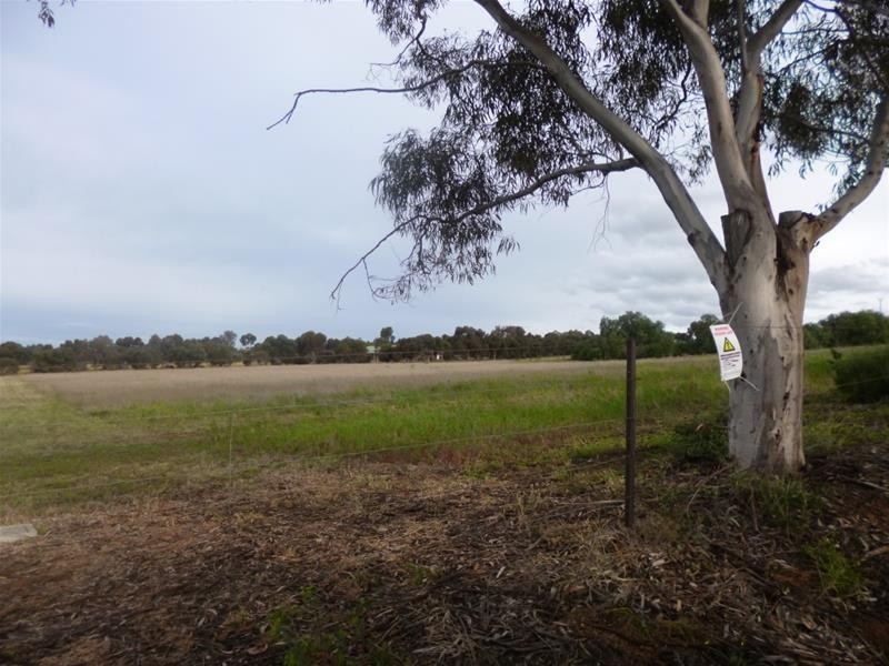 Lot 48 Needles Road, Caloote SA 5254