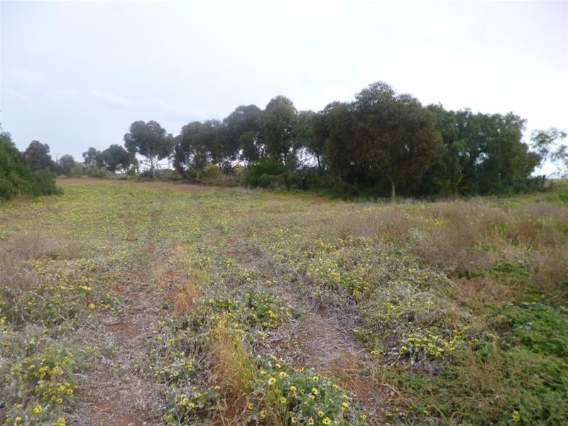 Lot 48 Needles Road, Caloote SA 5254