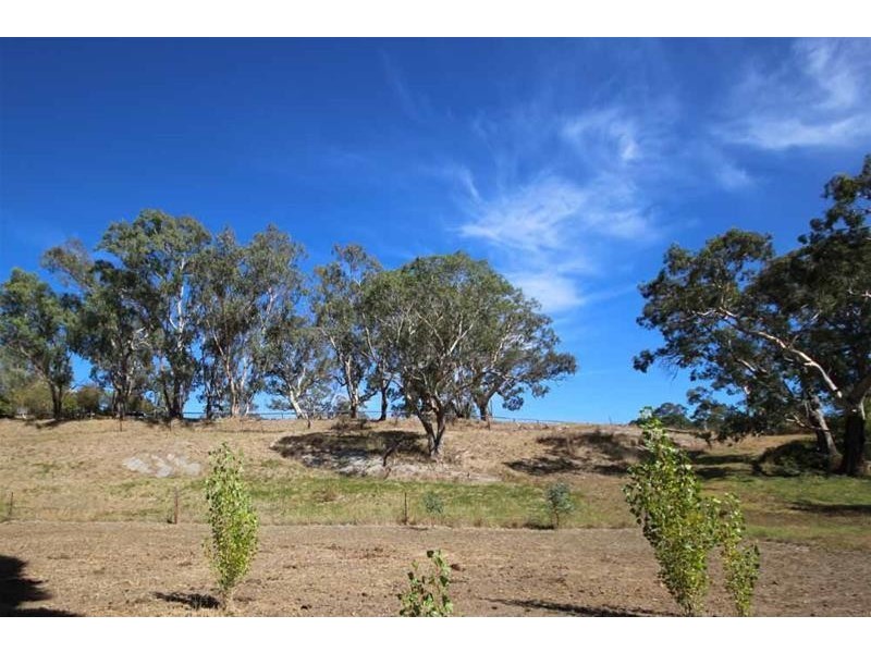 Lots 52 & 53 Tuck Street, Mount Torrens SA 5244