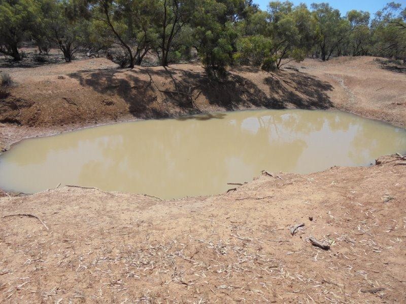 Lot 211 Tamkes Road, Sedan SA 5353