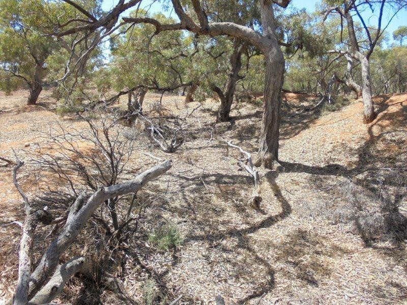 Lot 211 Tamkes Road, Sedan SA 5353