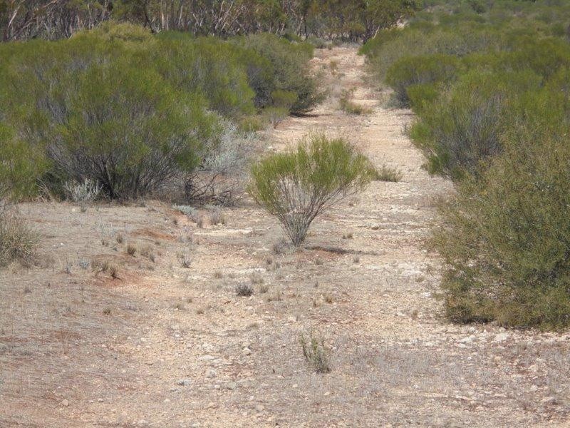 Lot 211 Tamkes Road, Sedan SA 5353