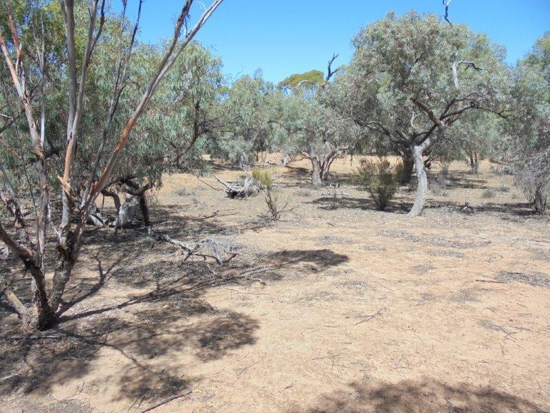 Lot 211 Tamkes Road, Sedan SA 5353