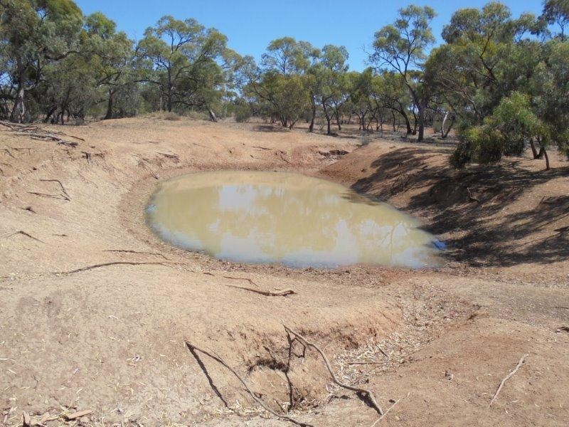 Lot 211 Tamkes Road, Sedan SA 5353