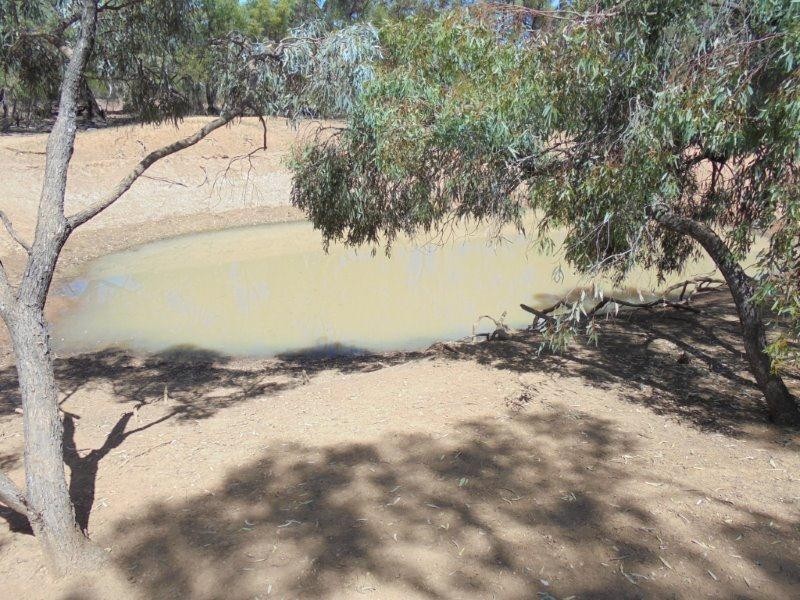 Lot 211 Tamkes Road, Sedan SA 5353