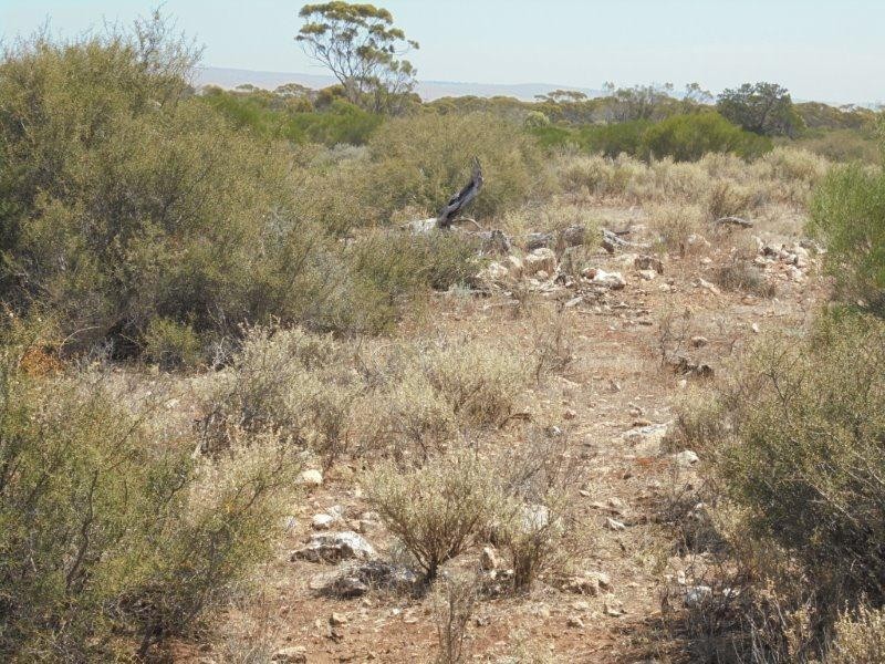 Lot 211 Tamkes Road, Sedan SA 5353