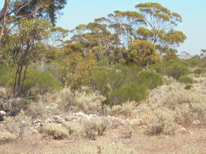 Lot 211 Tamkes Road, Sedan SA 5353