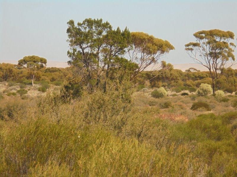 Lot 211 Tamkes Road, Sedan SA 5353