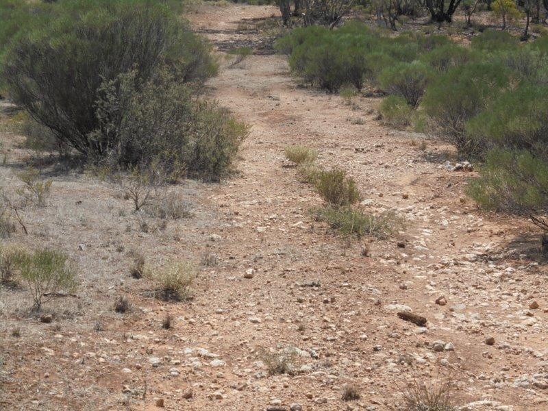 Lot 211 Tamkes Road, Sedan SA 5353