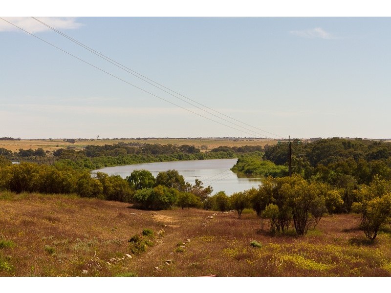 595 Murray Street, Caloote SA 5254