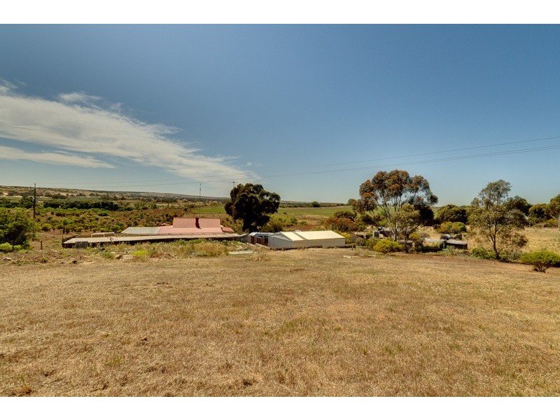 595 Murray Street, Caloote SA 5254