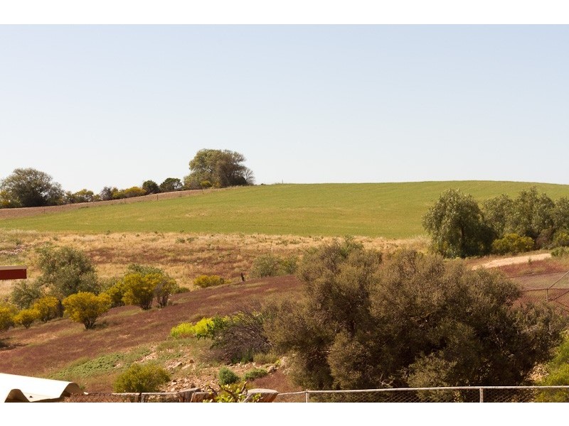 595 Murray Street, Caloote SA 5254