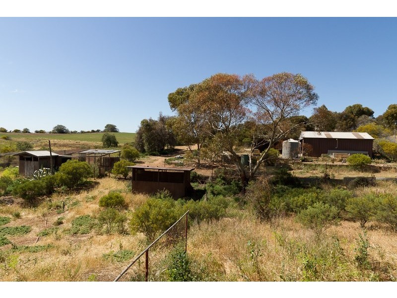 595 Murray Street, Caloote SA 5254