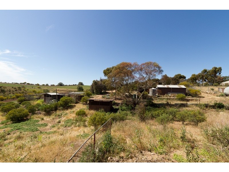 595 Murray Street, Caloote SA 5254