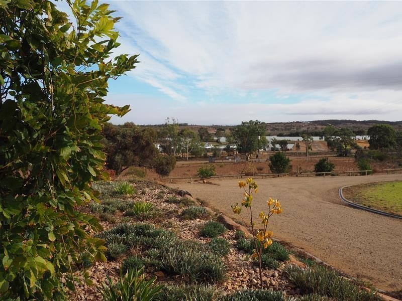 509 Greenshields Road, Younghusband SA 5238