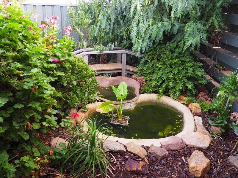 509 Greenshields Road, Younghusband SA 5238