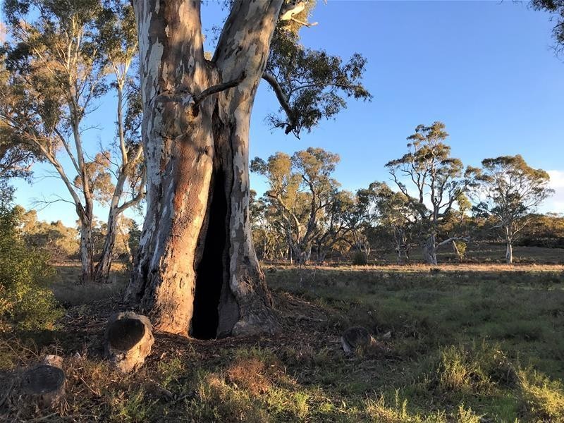 Lot 19 Black Hill Road, Black Hill SA 5353