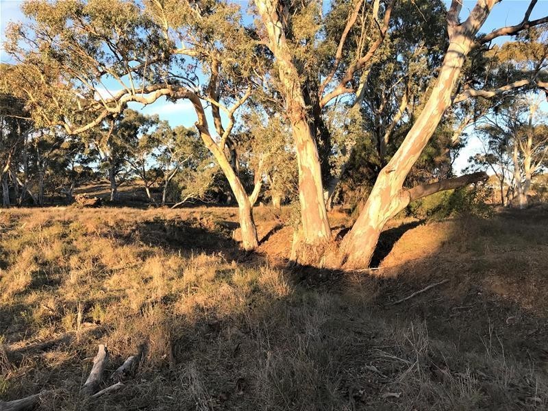 Lot 19 Black Hill Road, Black Hill SA 5353