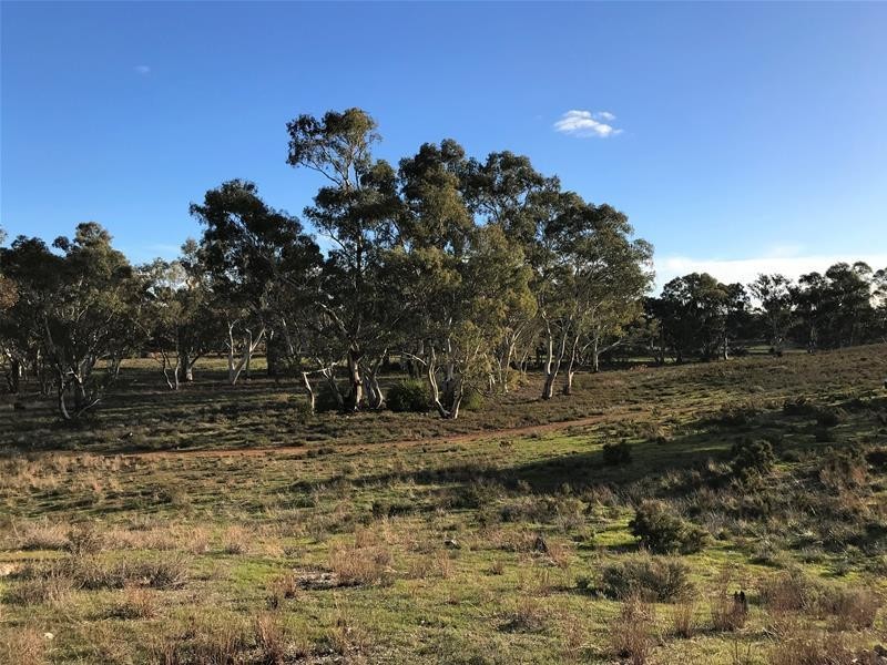 Lot 19 Black Hill Road, Black Hill SA 5353