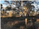 Lot 19 Black Hill Road, Black Hill SA 5353
