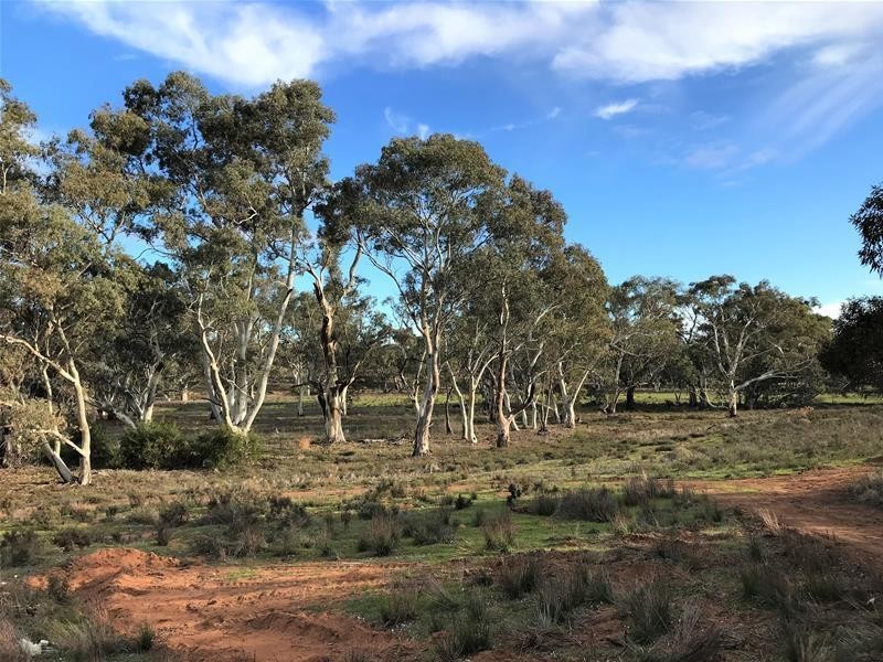 Lot 19 Black Hill Road, Black Hill SA 5353