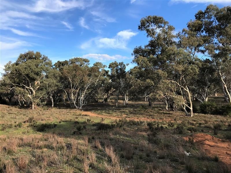 Lot 19 Black Hill Road, Black Hill SA 5353