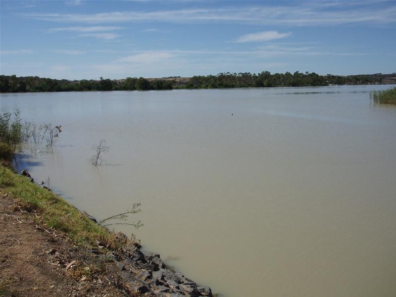 707 East Front Road, Mannum SA 5238