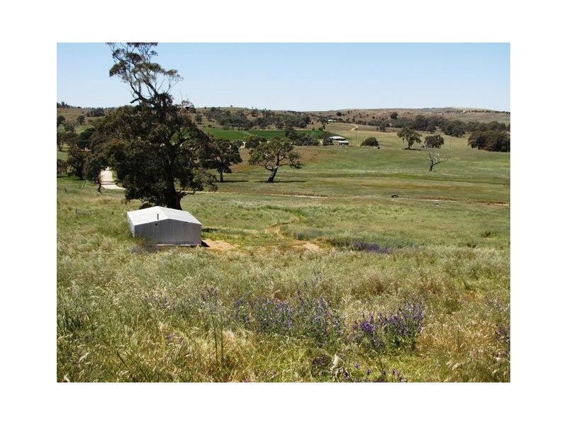 Lot 19 Church Road, Springton SA 5235