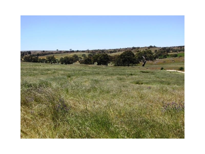 Lot 19 Church Road, Springton SA 5235