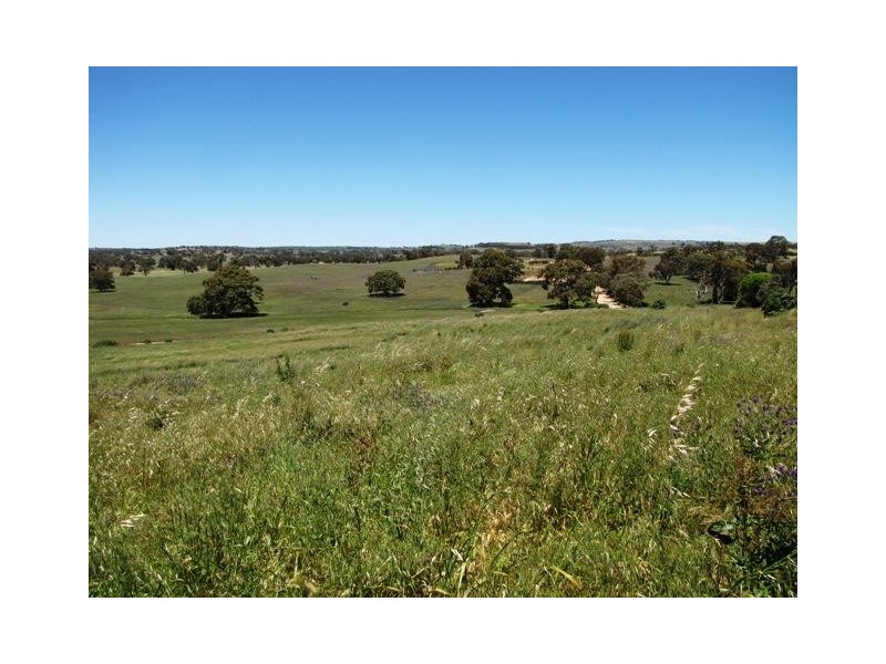 Lot 19 Church Road, Springton SA 5235