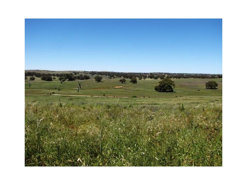 Lot 19 Church Road, Springton SA 5235