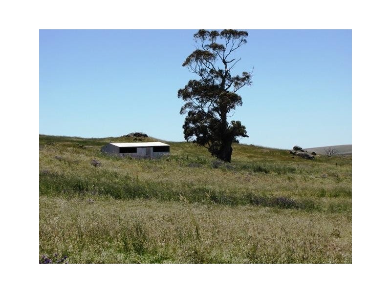 Lot 19 Church Road, Springton SA 5235