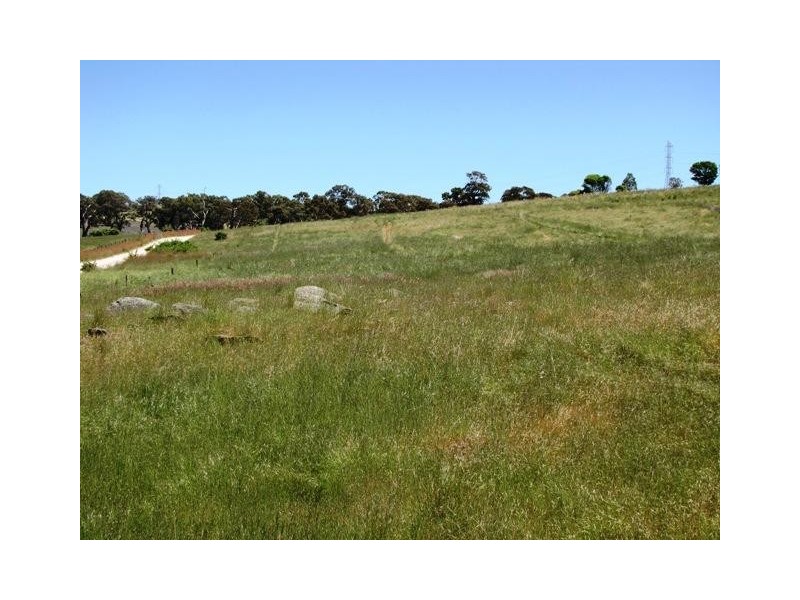 Lot 19 Church Road, Springton SA 5235
