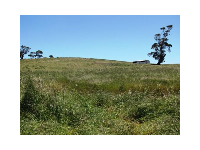 Lot 19 Church Road, Springton SA 5235