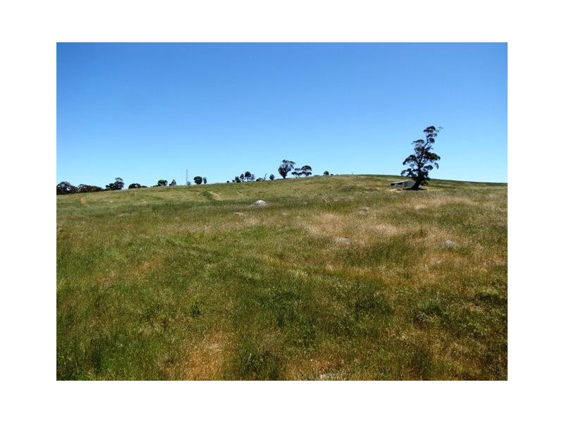 Lot 19 Church Road, Springton SA 5235