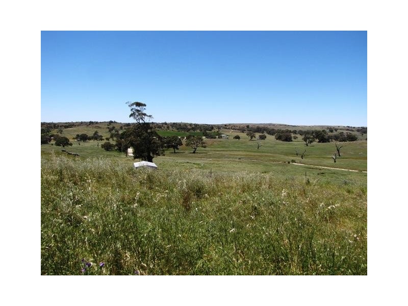 Lot 19 Church Road, Springton SA 5235