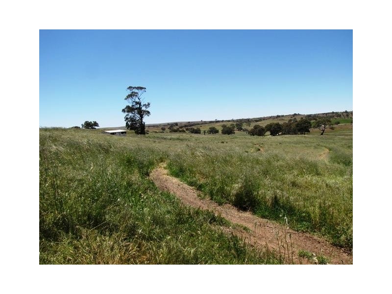 Lot 19 Church Road, Springton SA 5235