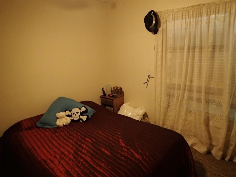 19 Charles Street, Mannum SA 5238