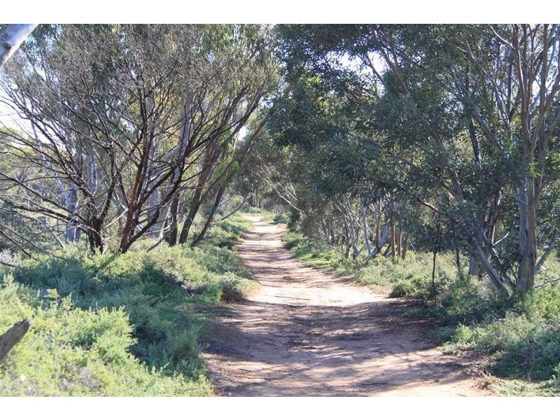 136 Keith Road, Mannum SA 5238