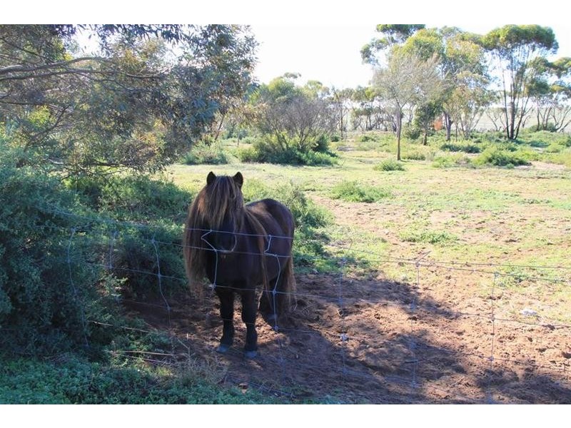 136 Keith Road, Mannum SA 5238