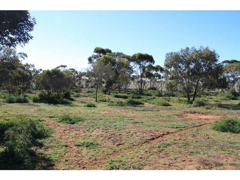 136 Keith Road, Mannum SA 5238