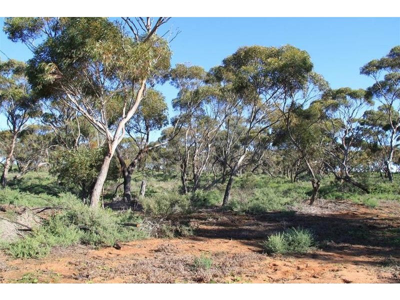 136 Keith Road, Mannum SA 5238