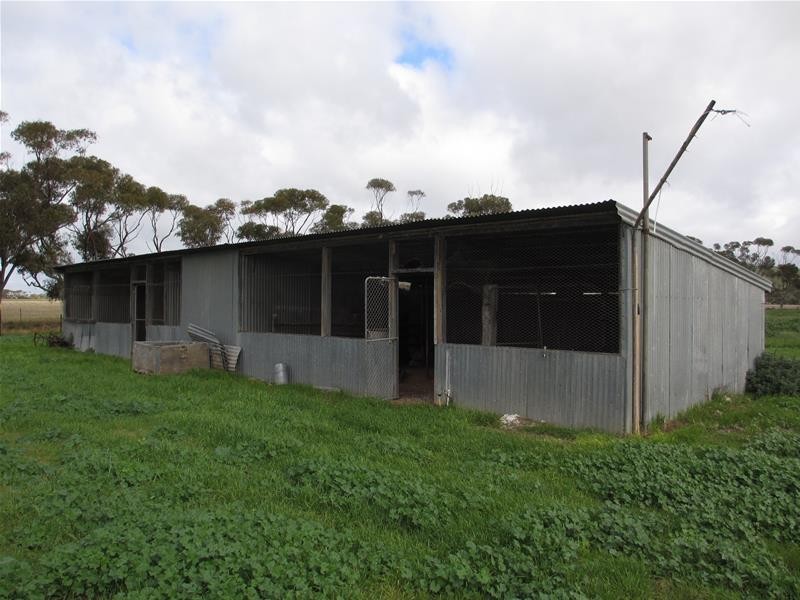 ‘PineCrest’ 335 Schubert Road, Cambrai SA 5353