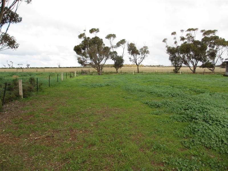 ‘PineCrest’ 335 Schubert Road, Cambrai SA 5353