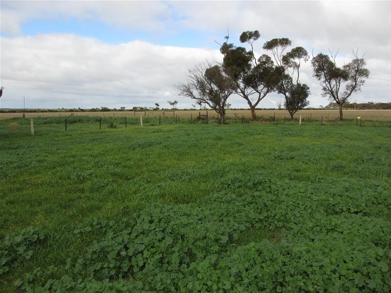 ‘PineCrest’ 335 Schubert Road, Cambrai SA 5353