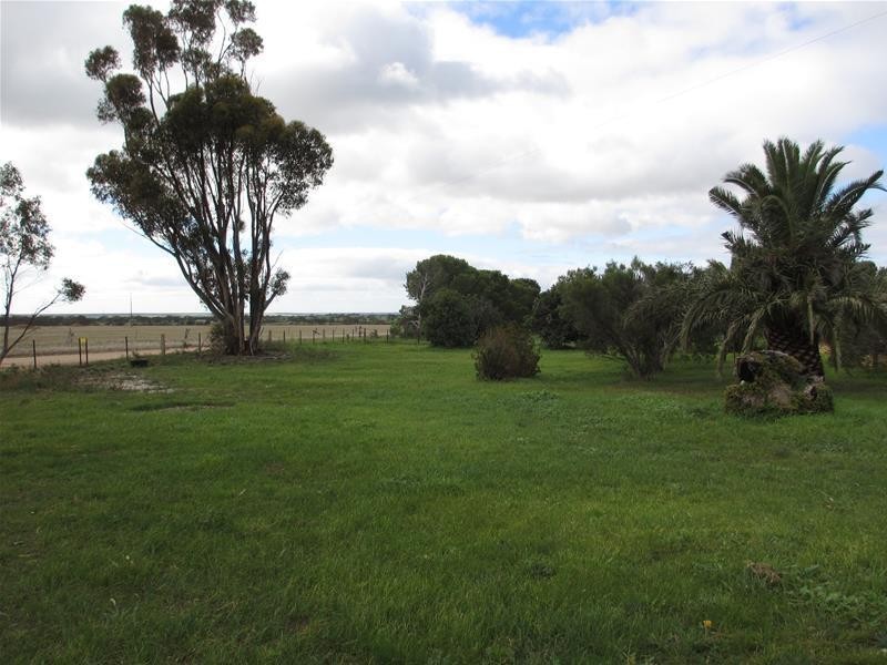 ‘PineCrest’ 335 Schubert Road, Cambrai SA 5353