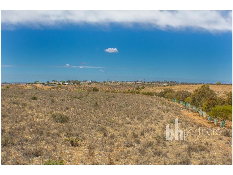 28 Shearer Heights Road, Mannum SA 5238